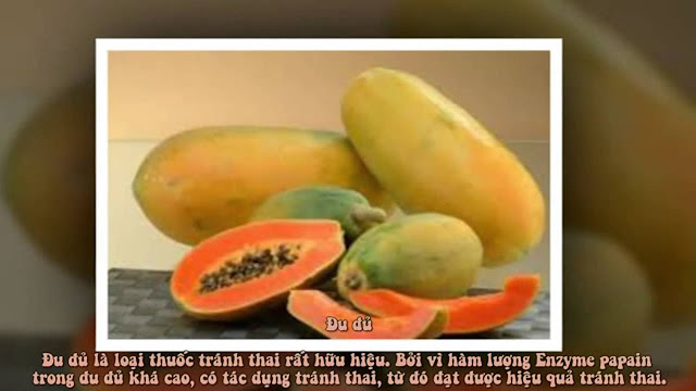 NHỮNG CÔNG DỤNG TUYỆT VỜI CỦA TRÁI ĐU ĐỦ VỚI SỨC KHỎE VÀ TRÁNH THAI