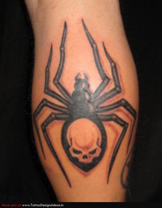 Тату паук в паутине. Тату паук значение на зоне. Паук тату эскиз. Тату паук на руке. Тату паук значение на зоне.