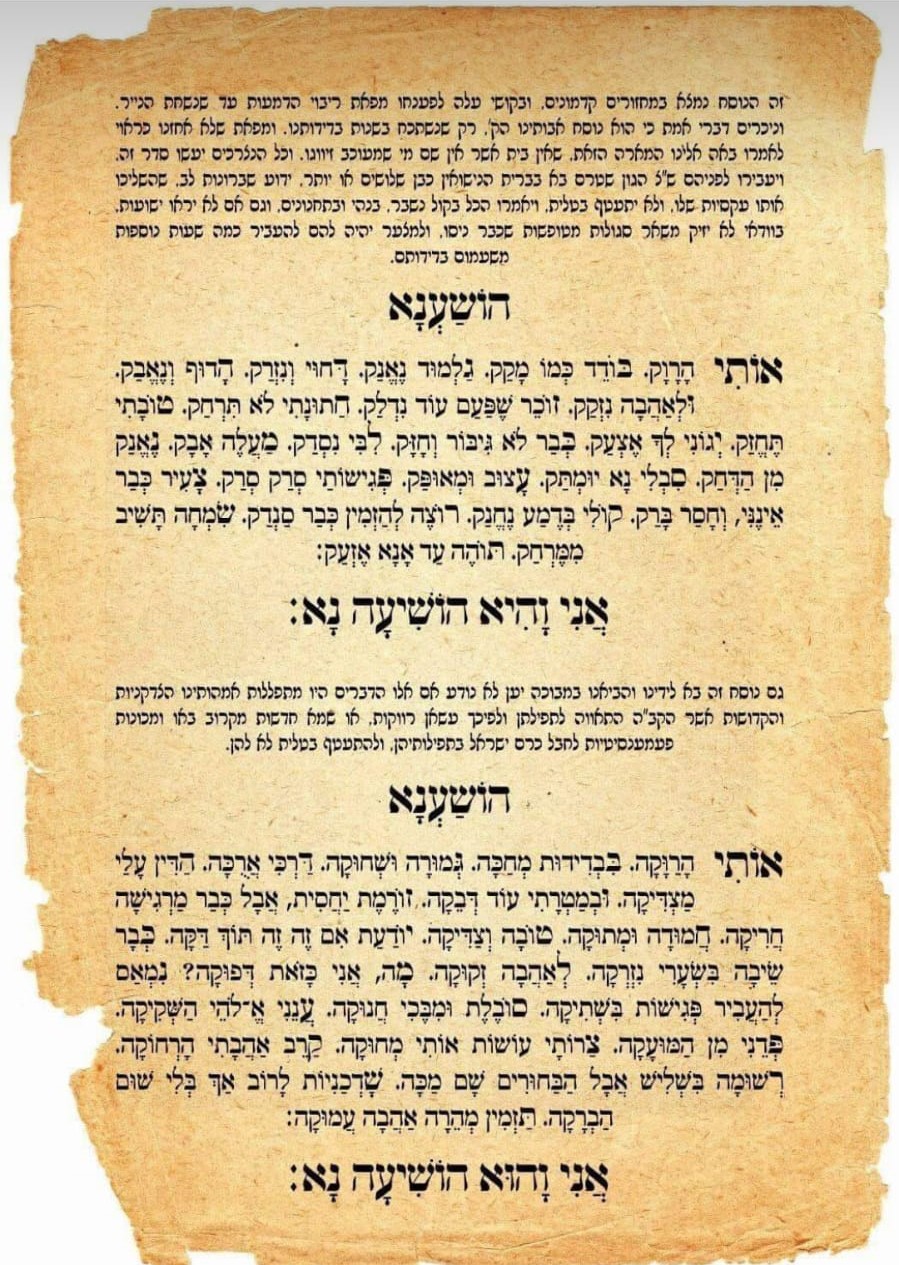 תוצאת תמונה עבור הושענא לרווק