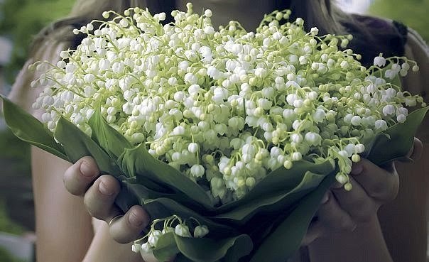 Охапка цветов в руках