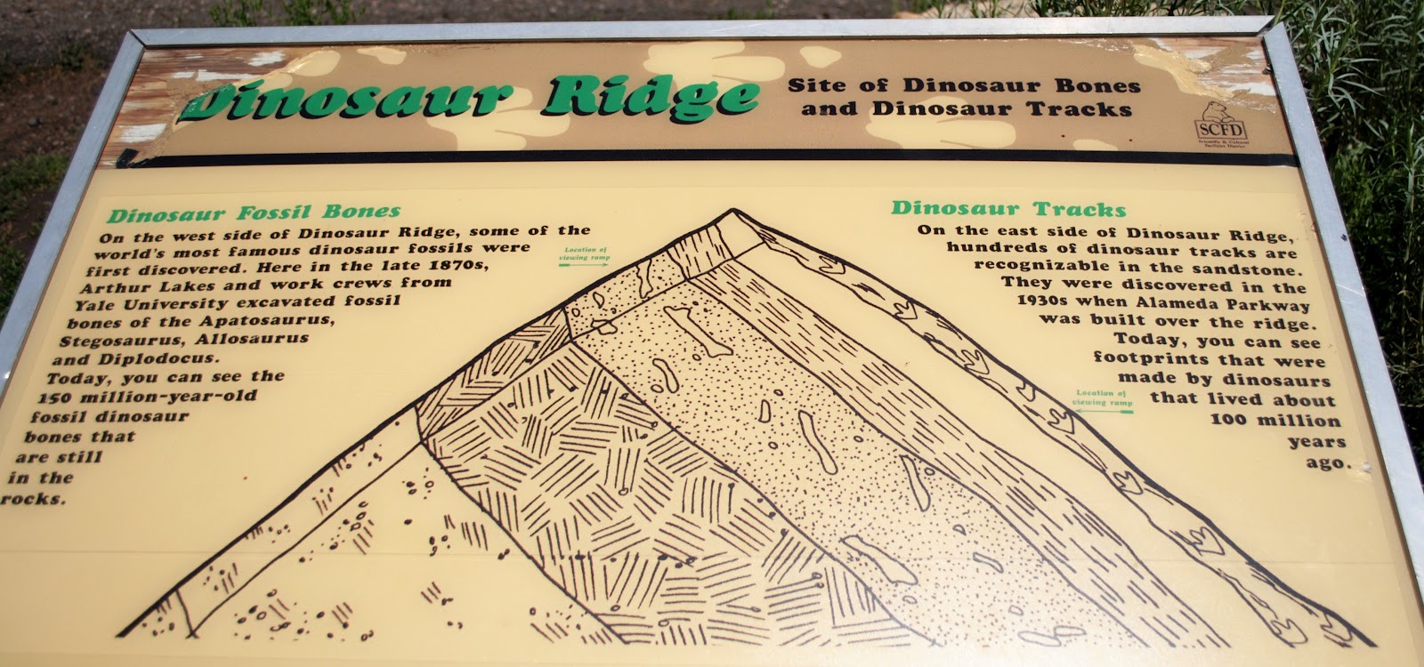 Claire the Armadillo: Dinosaur Ridge