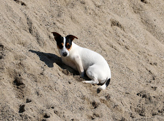 Louise making a sun trap out of the sand pit Louise making a sun trap out of the sand pit