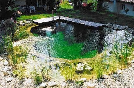 De Piscinas: Por qué elegir un estanque piscina o de natación