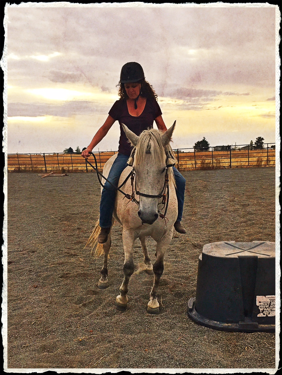 Horse Bucking Rider Off