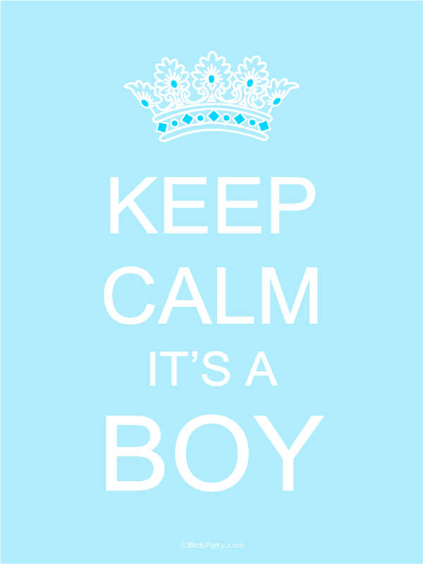 FREE Printables: Keep Calm Baby Shower Gender Reveal Signs Boy