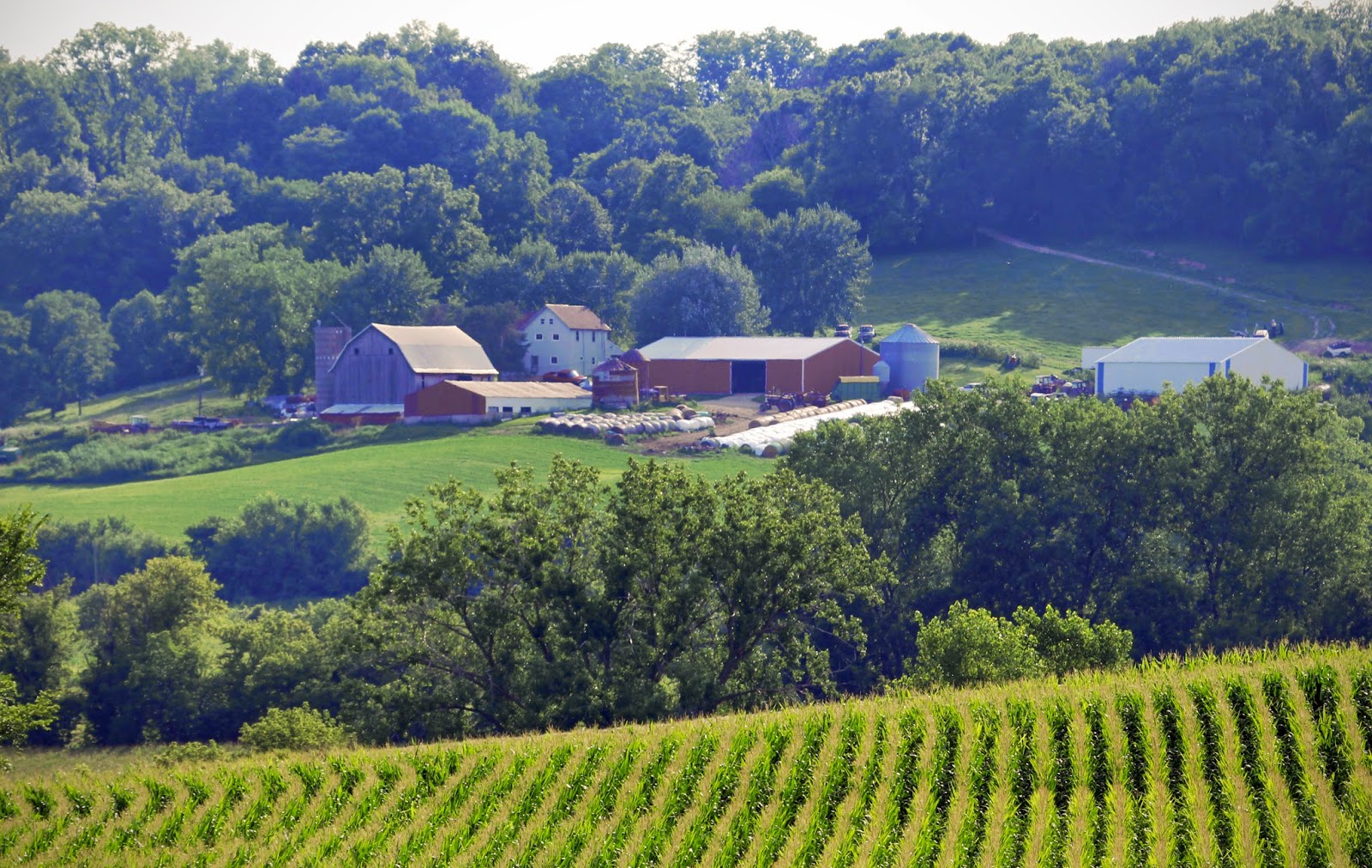 Funke Photos Summer Scenes from Rural Iowa
