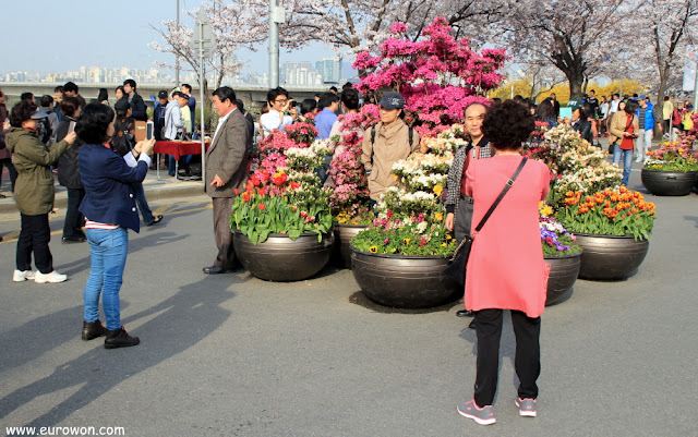 Coreanos tomándose fotos delante de flores