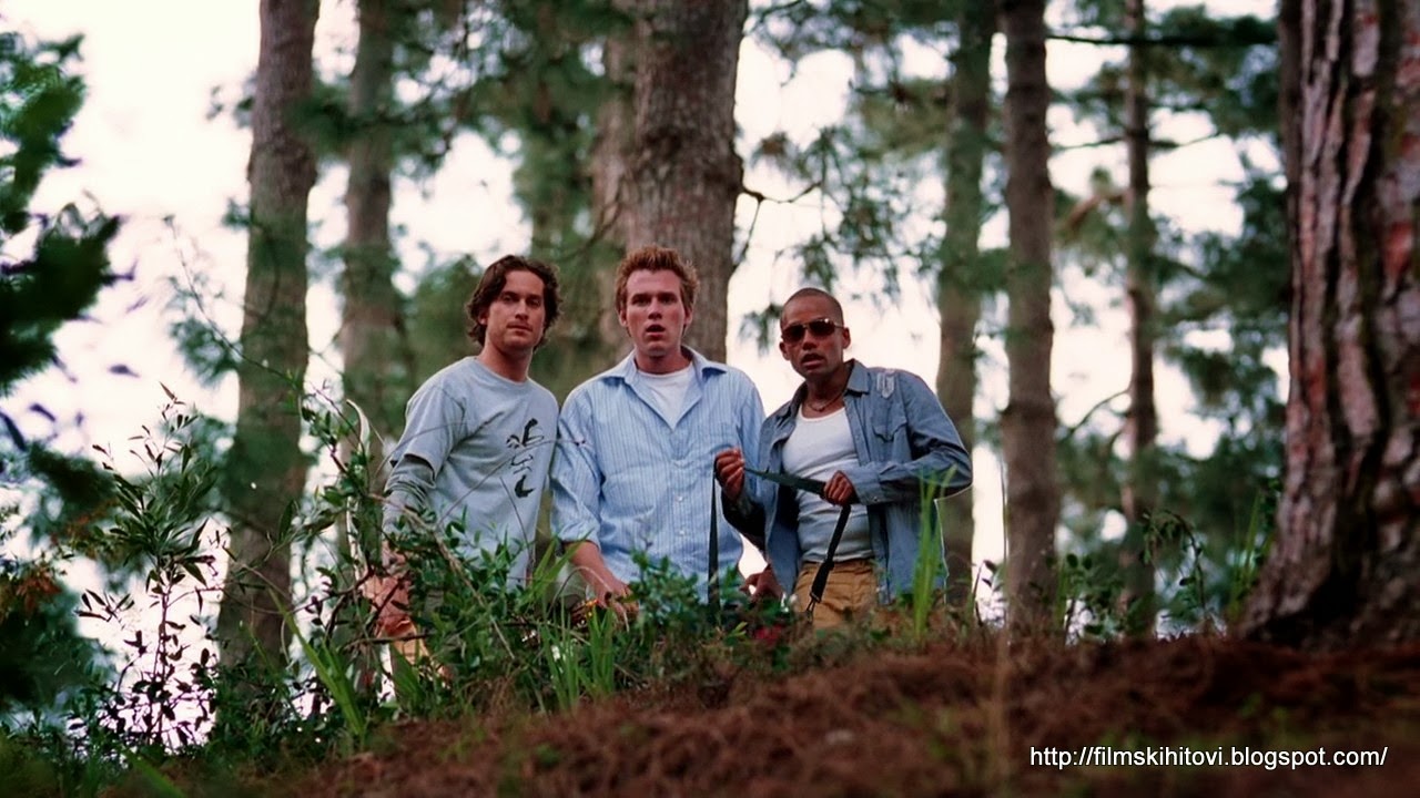 Свора содержание. Свора содержание. Свора содержание. Стая бездомных собак. Свора содержание.