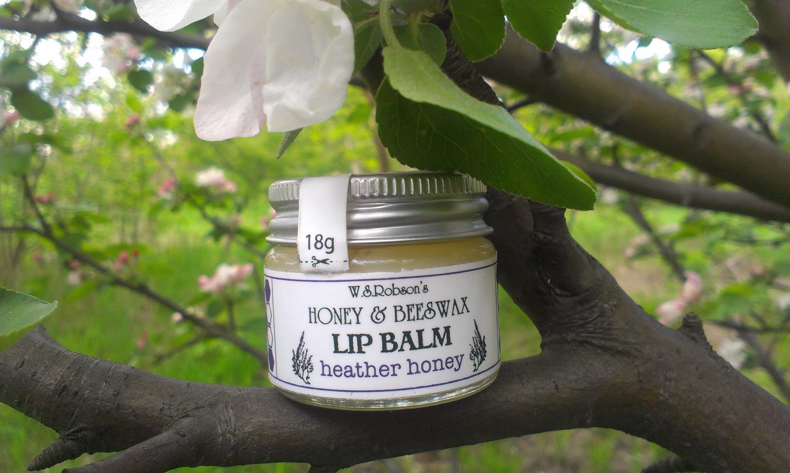 Naturalna Dusza Miodowy wrzos, czyli balsam do ust W.S.Robson's