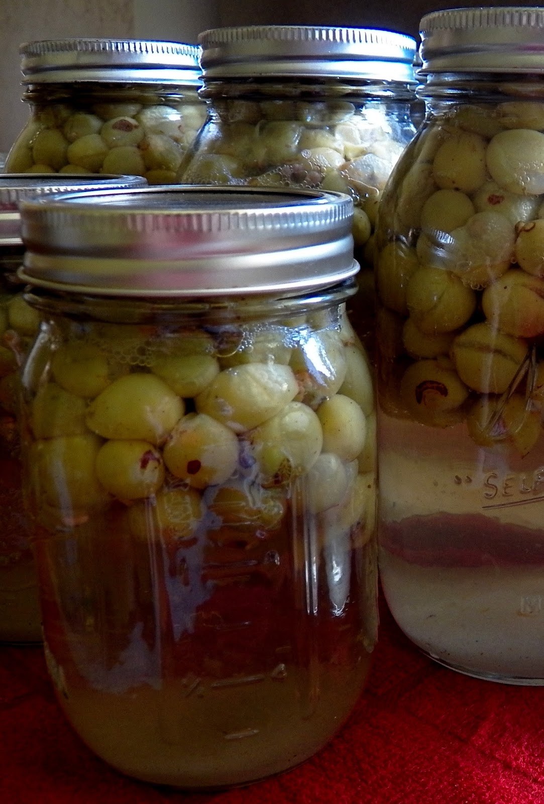 The Tasty Cheapskate Easy HomeCanned Grape Juice