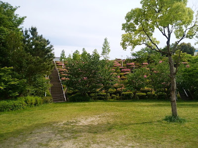 【枚方市・津田サイエンスヒルズ】空見の丘公園のつつじ 【枚方市・津田サイエンスヒルズ】空見の丘公園のつつじ