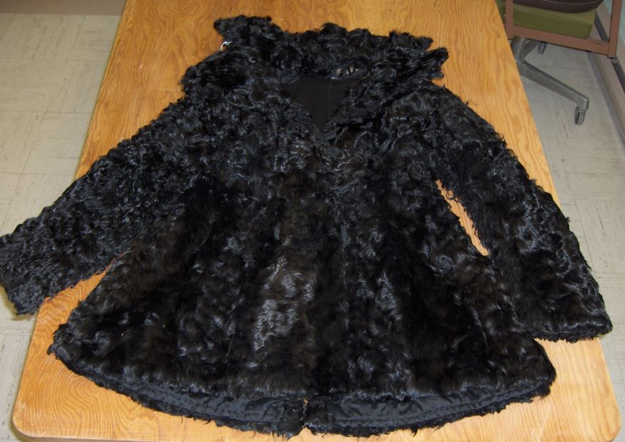 100 Hidden Histories Dog Fur Coats