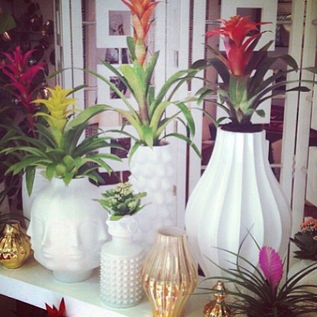 dicas para utilizar vasos decorativos