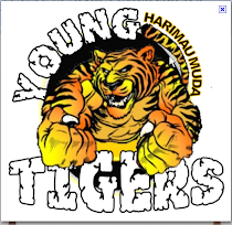YoungTigers