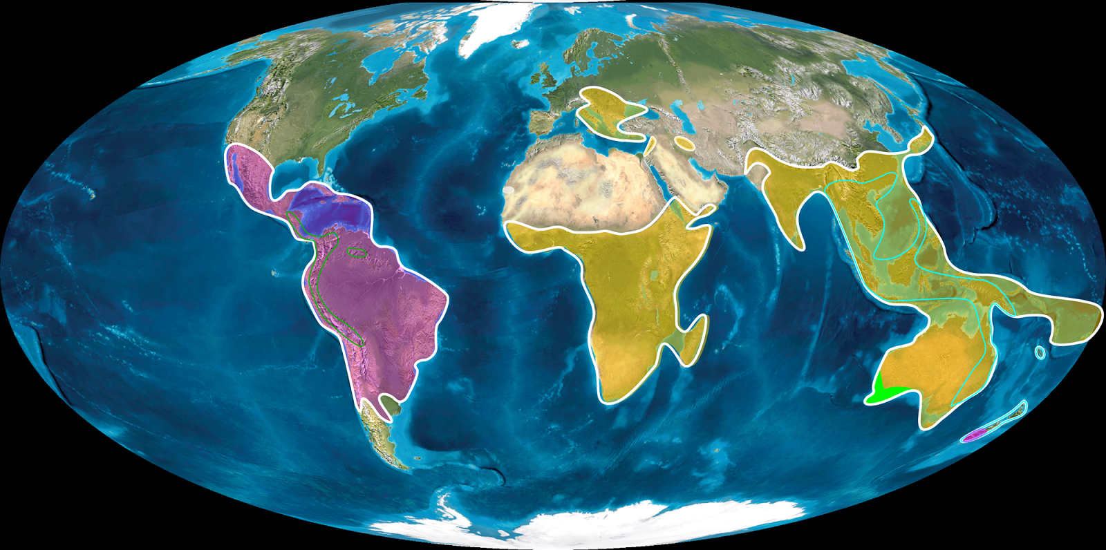 планета земля материки. шесть континентов земли. земной шар. северная и южная америка материк. планета земля материки.