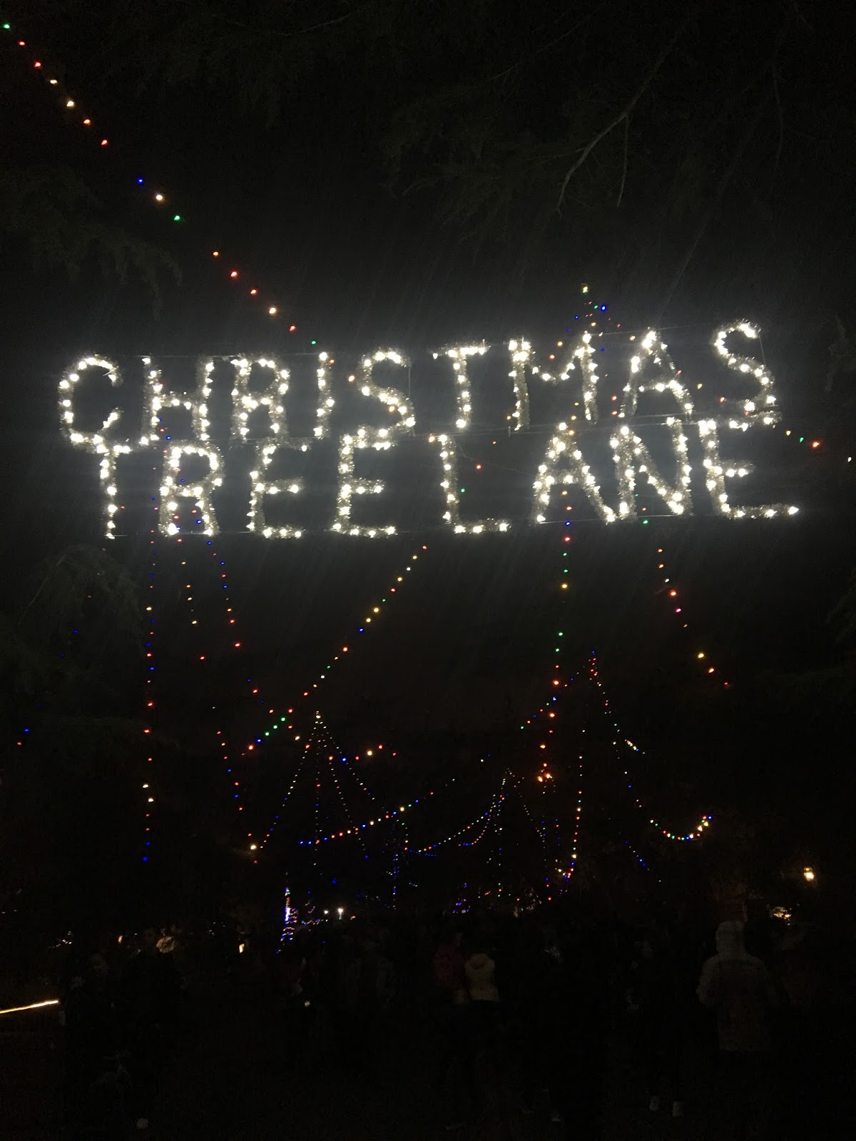 95th Christmas Tree Lane (Van Ness Boulevard, Fresno, CA)