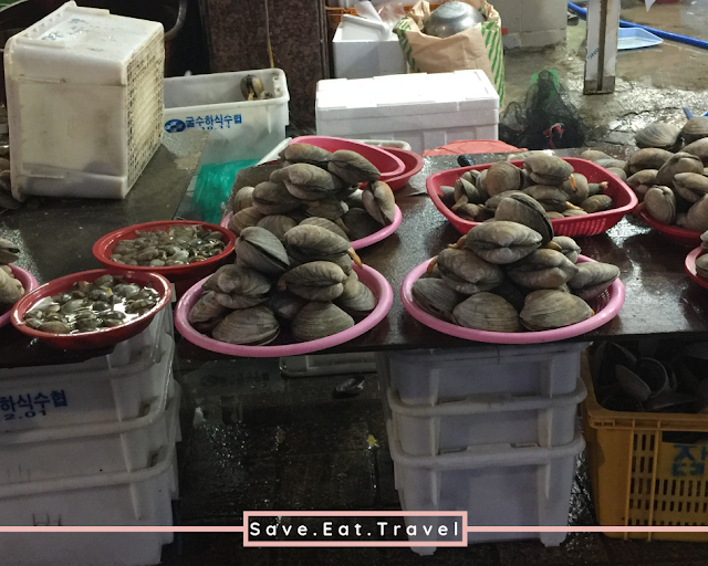 Top 4 Must See Places in Busan Jagalchi Market