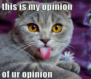 Cat Memes Photos Cat Memes Photos