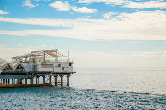 Черное море в Сочи Путешествия: Черное море в Сочи