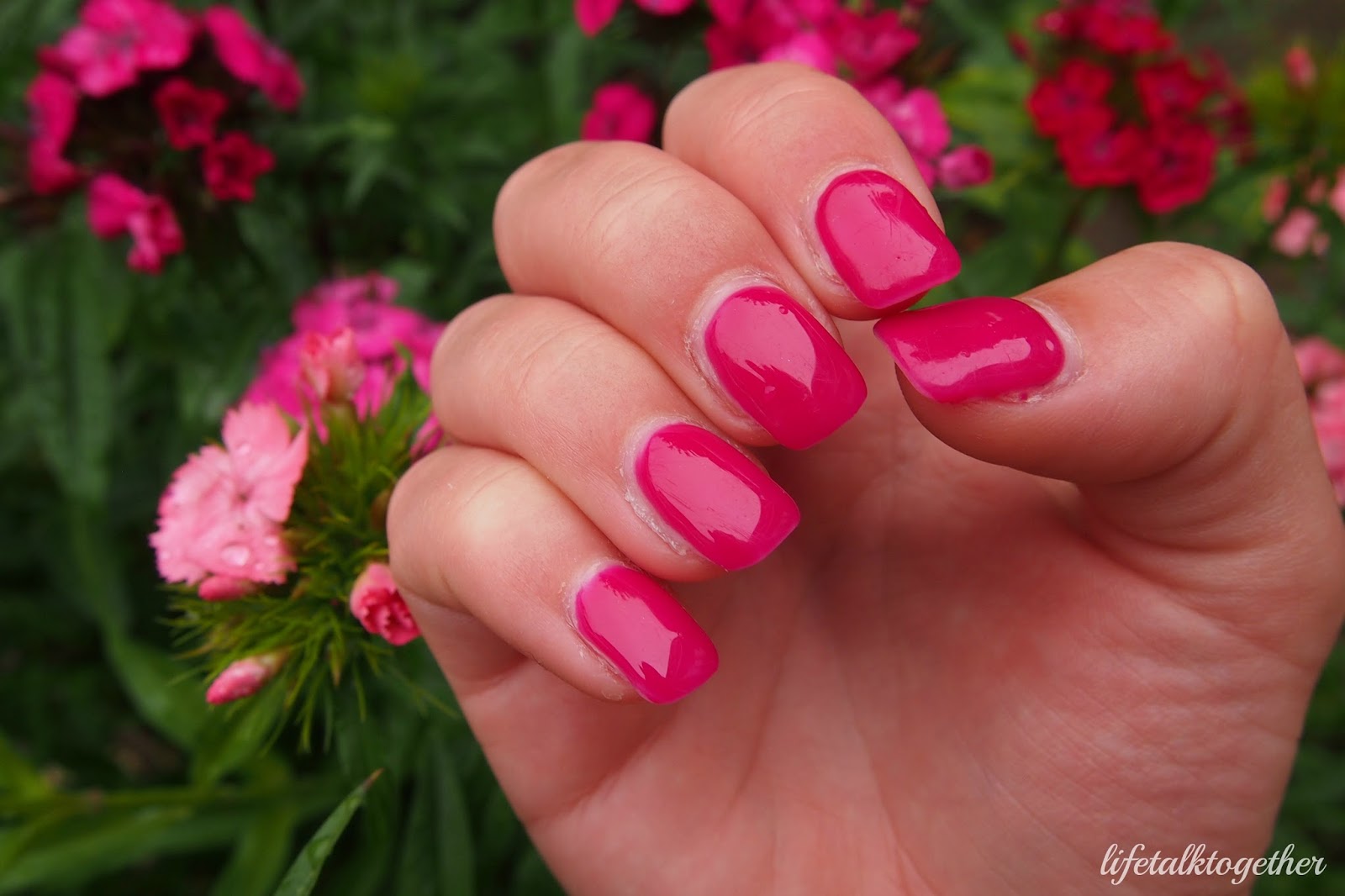 Life Talk Together FiberGel Nagels Marianne's Nails & Handcare