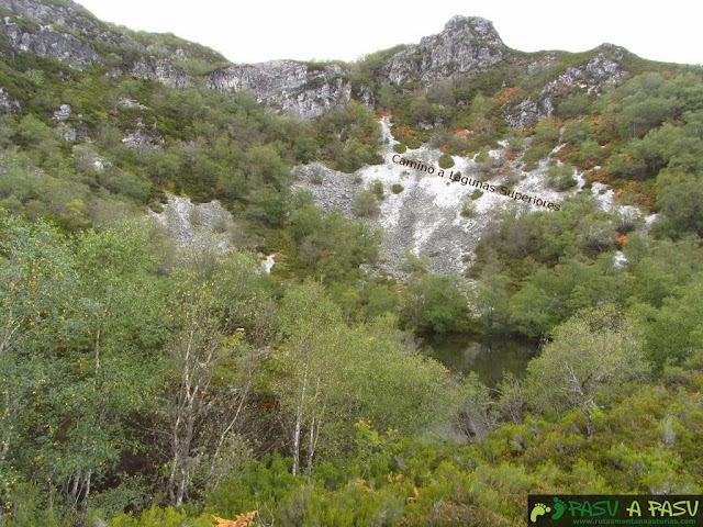 Laguna La Isla, Muniellos