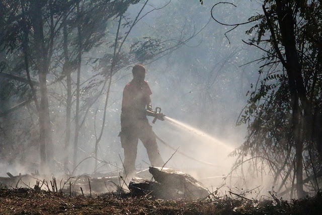 lkos incendios sofocan un fuego forestal entre Gorostiza y La Siebe