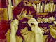 Mi foto