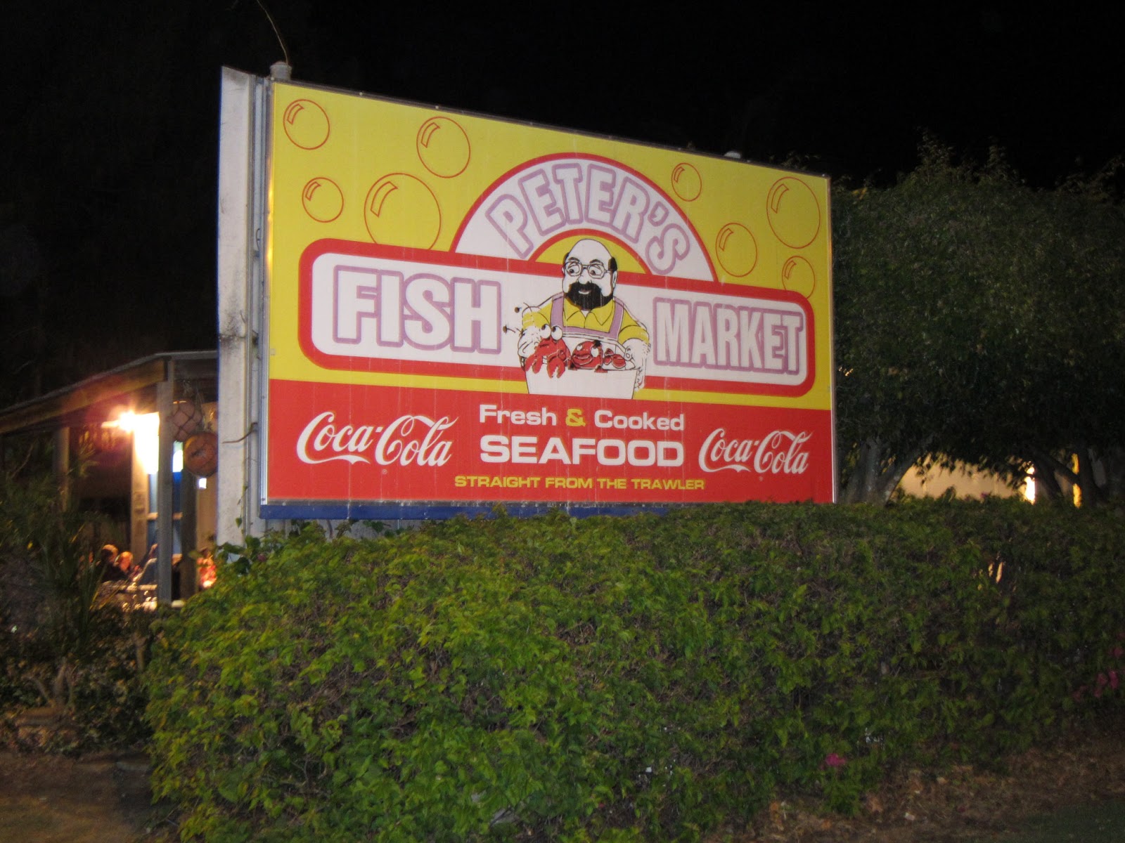 The Travel Bug Living it up on the Gold Coast