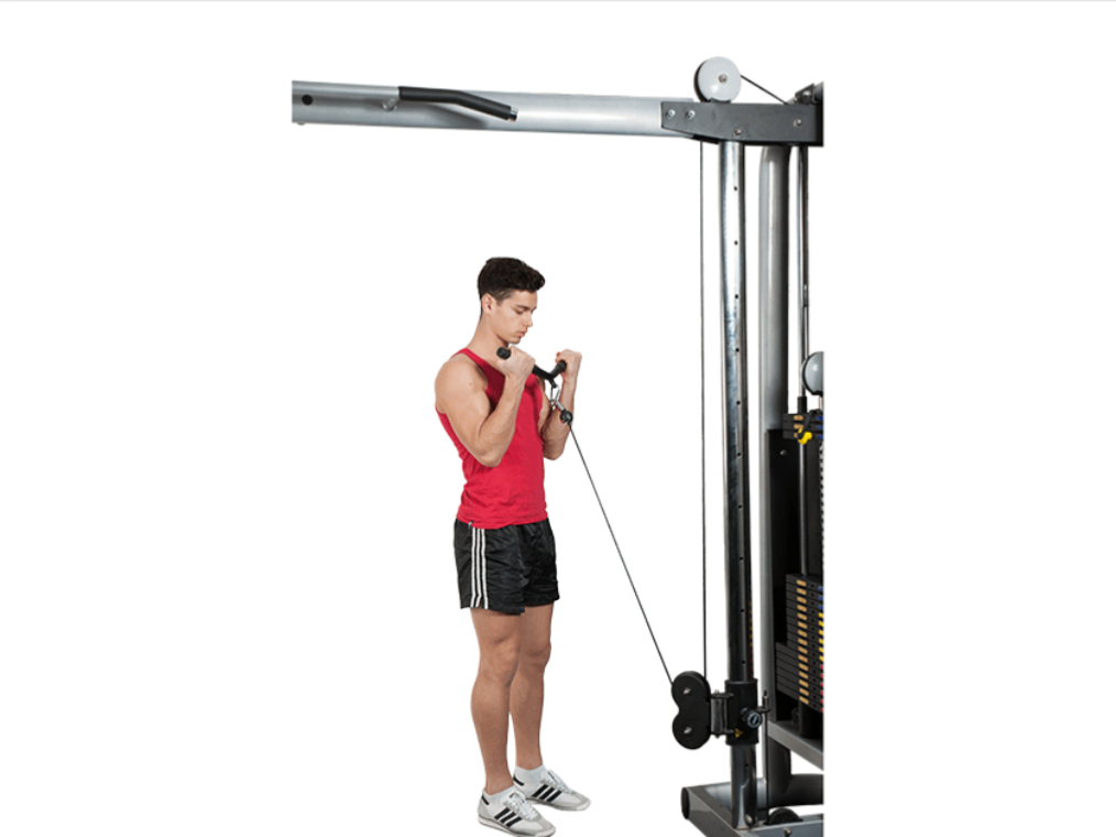 BLENDING SCIENCE WITH LIFTING Cable biceps curl