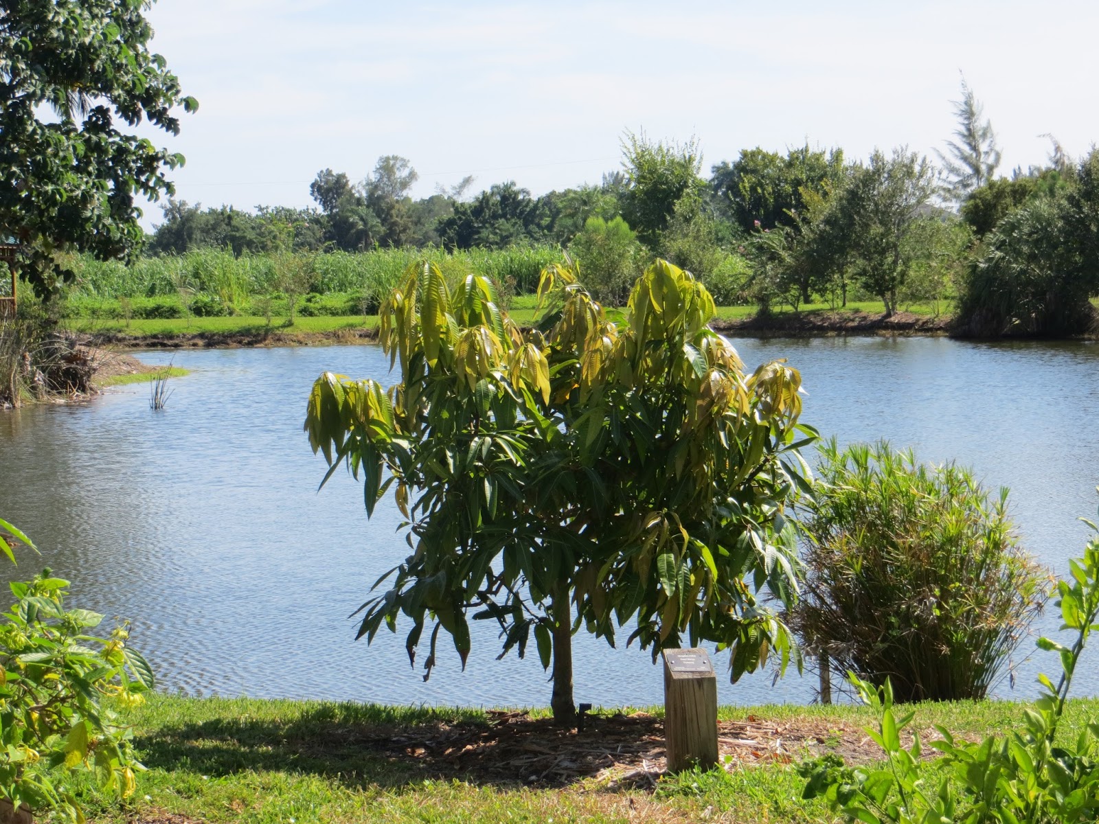 MRFC Articles Pickering