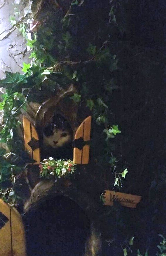 Luxury Cat Trees for Spoiled Rotten Kitties Fairy Tale Cat Trees