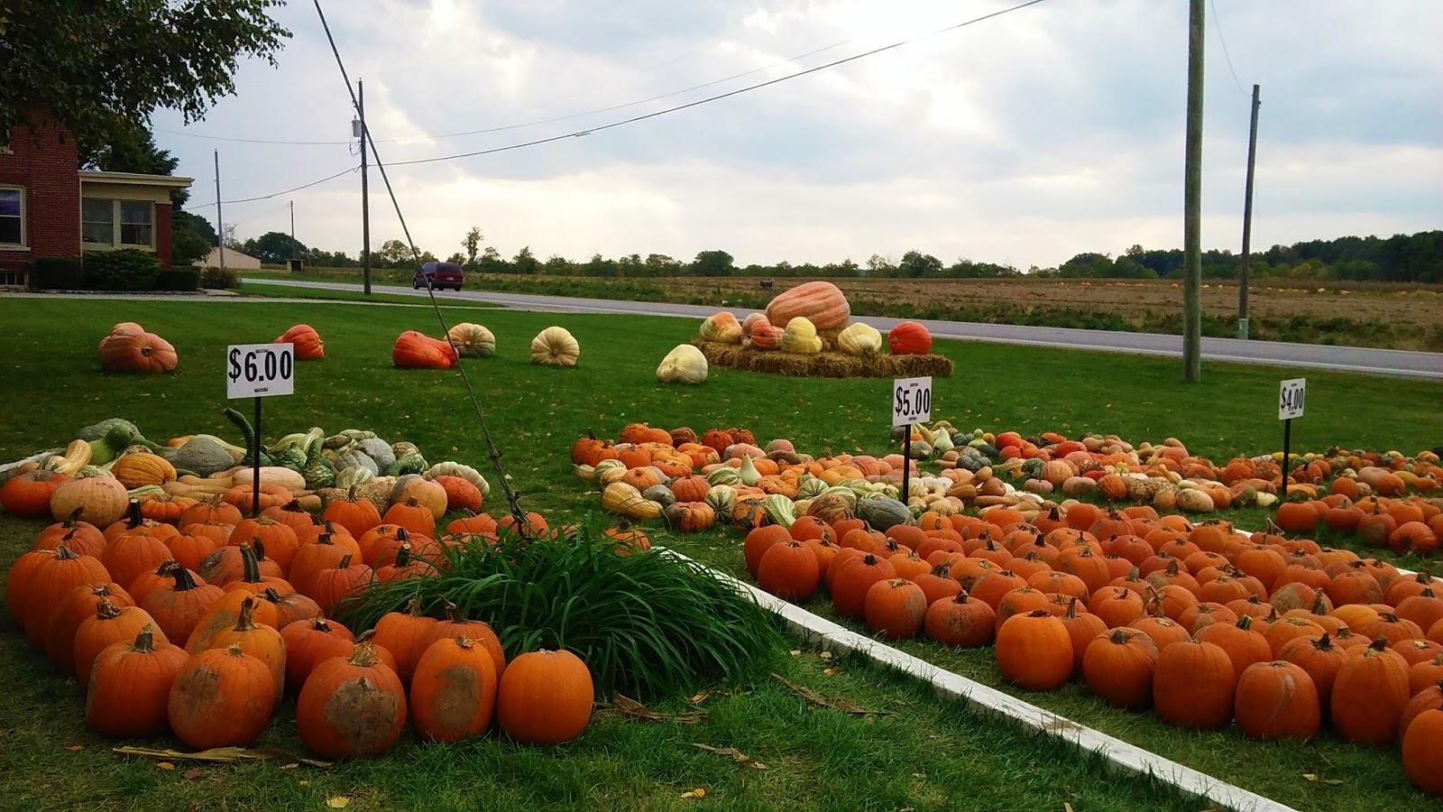 Sweet Home Indiana Fall has arrived! Time to get pumpkins!