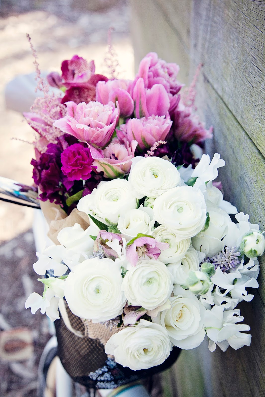 Urban Flower Our Flowers in Rouse Hill Regional Park