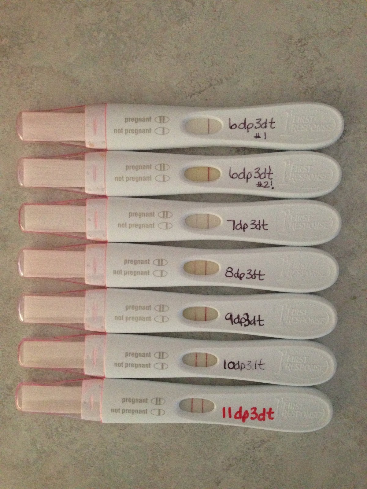 Control Line On Pregnancy Test Not Showing Up Pregnancy Test
