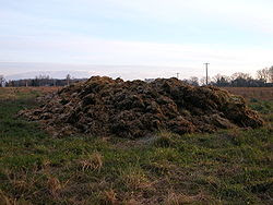 Estiércol , mierda , manure, Mist, Scheisse, abono orgánico