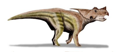 Achelousaurus