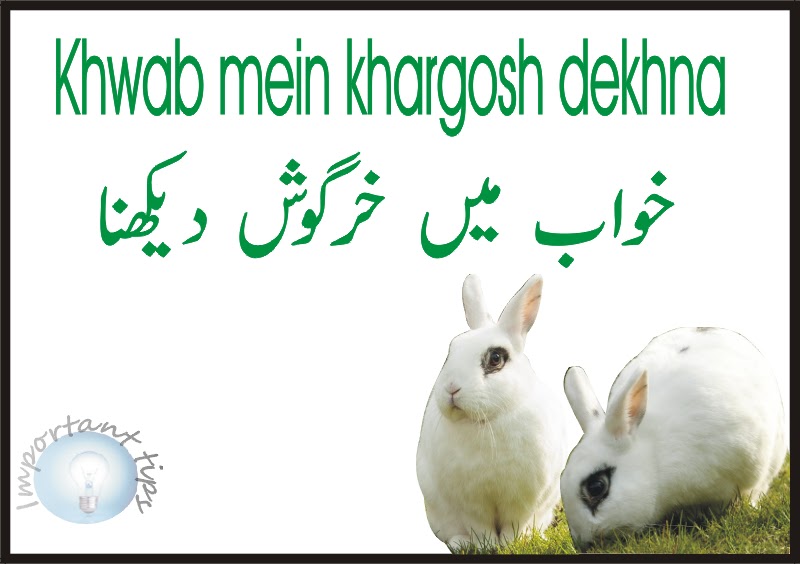 important tips khwab mein khargosh dekhna Rabbit in dream