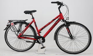 Stolen Bicycle - Pegasus Solero SL