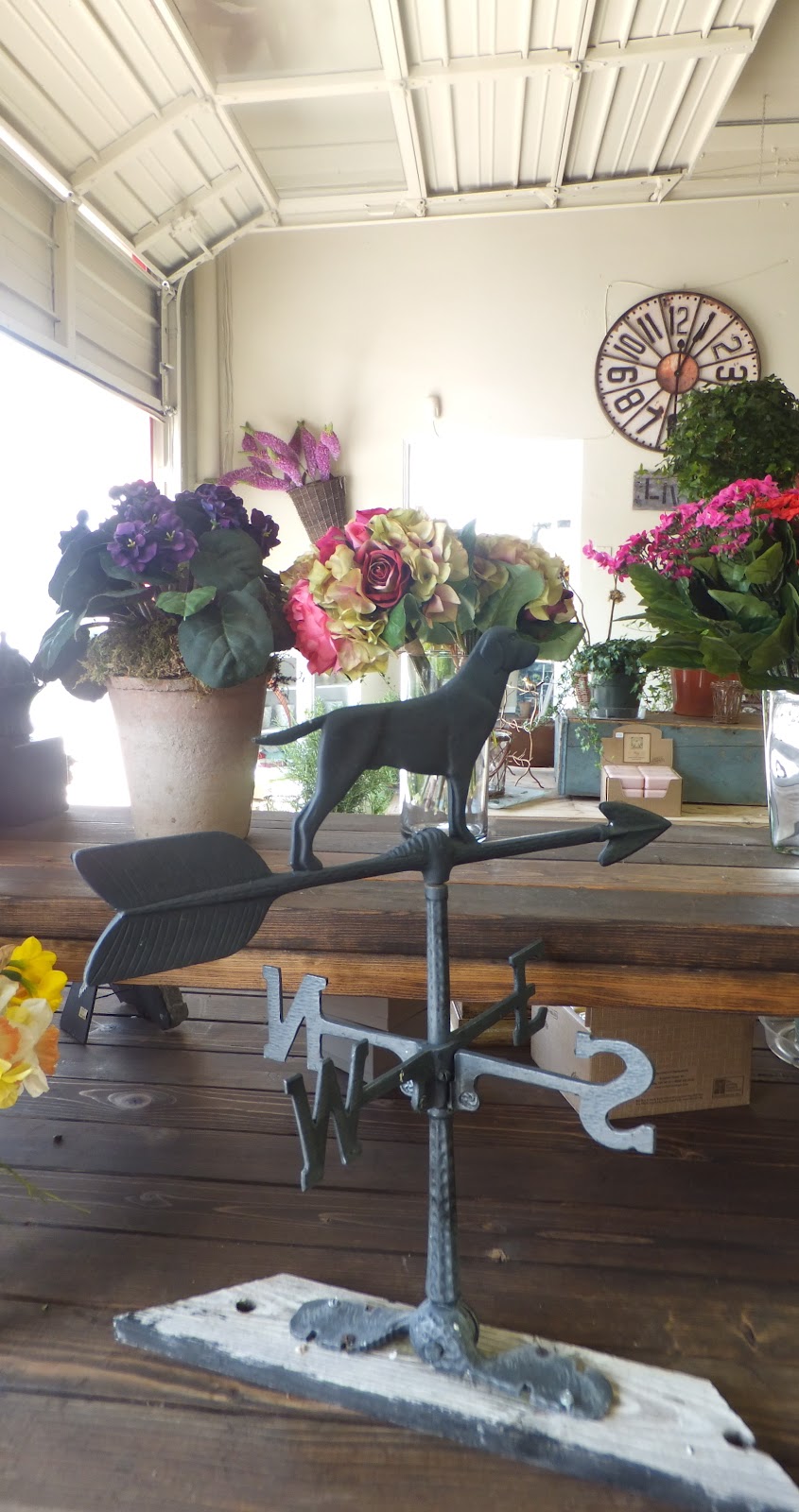 Ash Tree Cottage A New Flower Studio Blooming in Town