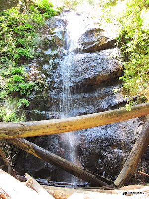 Silver Creek Falls / Cascada Silver Creek