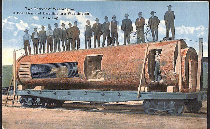 John's Island Largest Circular Saw in the World [1909]