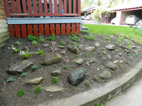 Forest Hill Toronto new rock garden after by Paul Jung Gardening Services