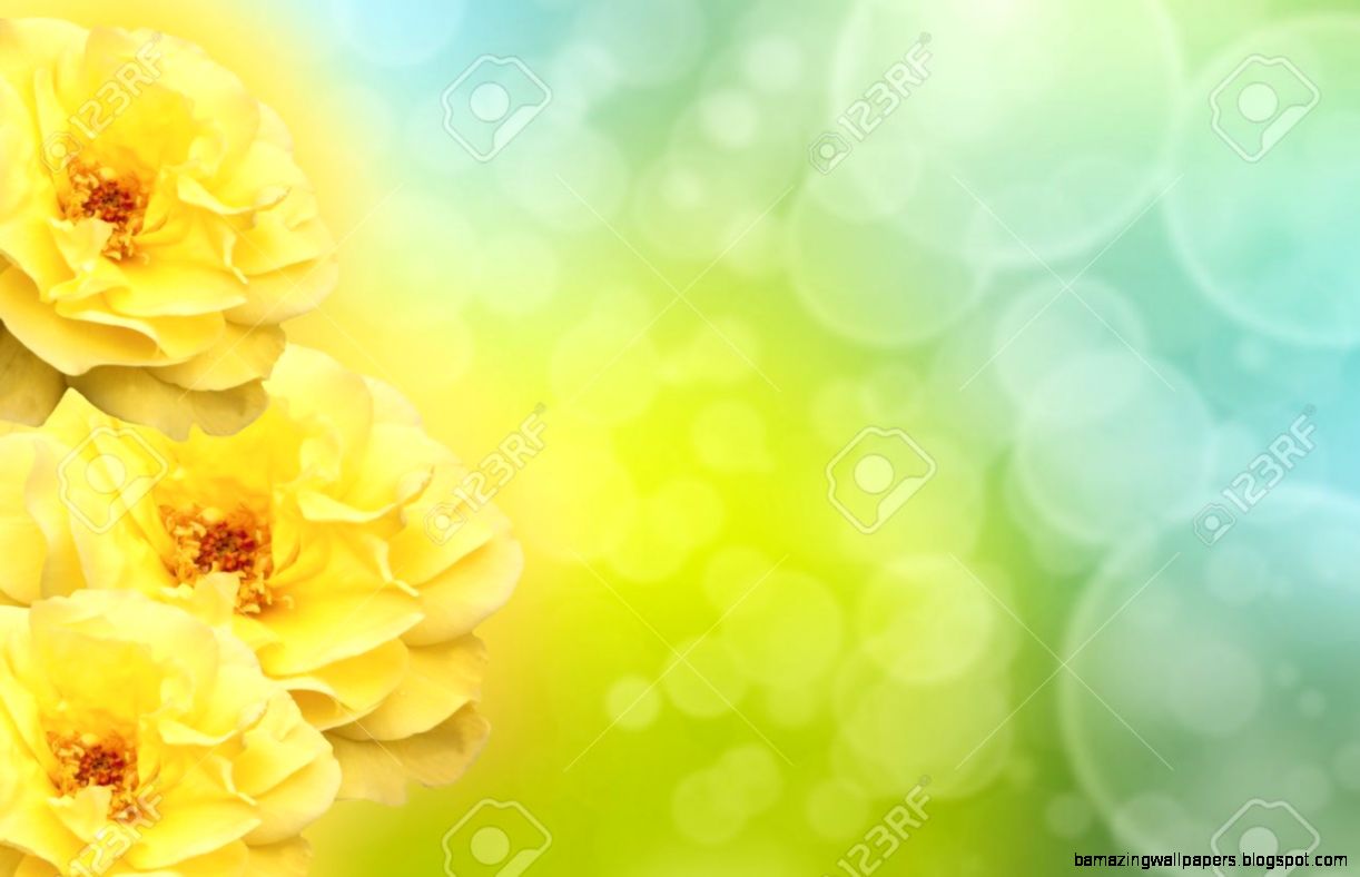 Beautiful Background With Yellow Roses Stock Photo Picture And