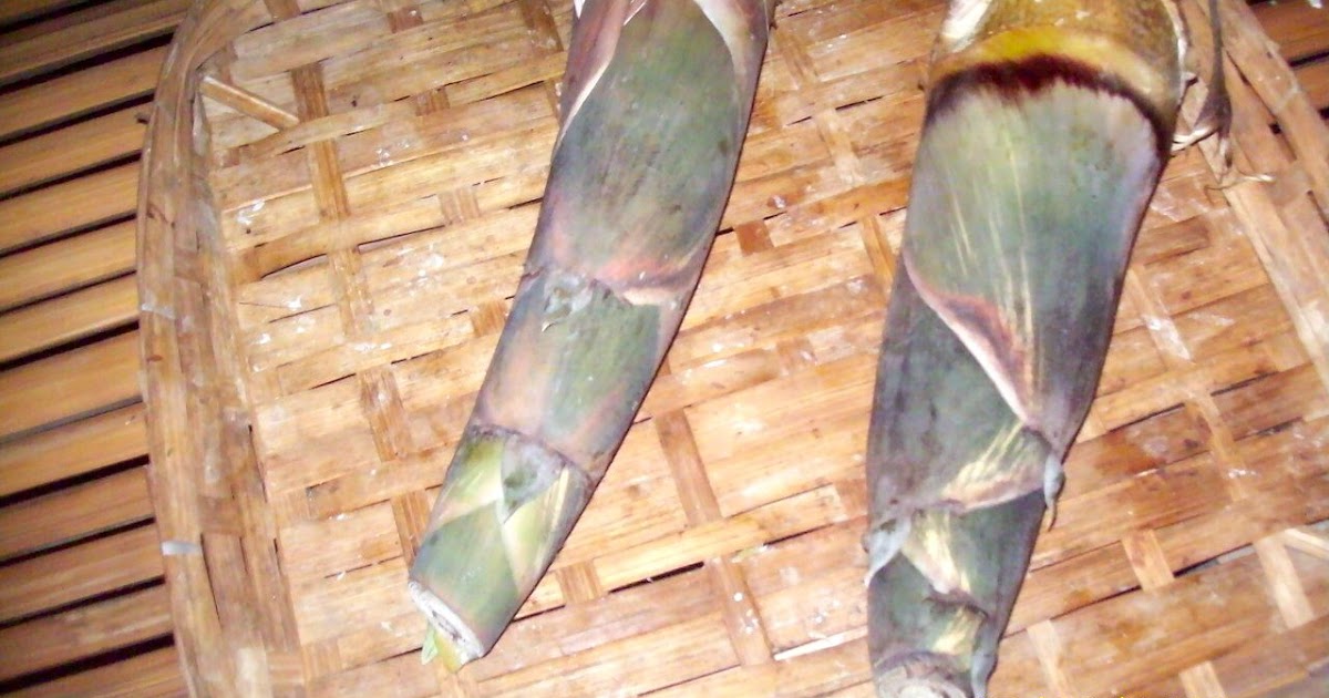 Fish Pond Buddy How to Prepare Bamboo Shoots ("Labong") for Cooking