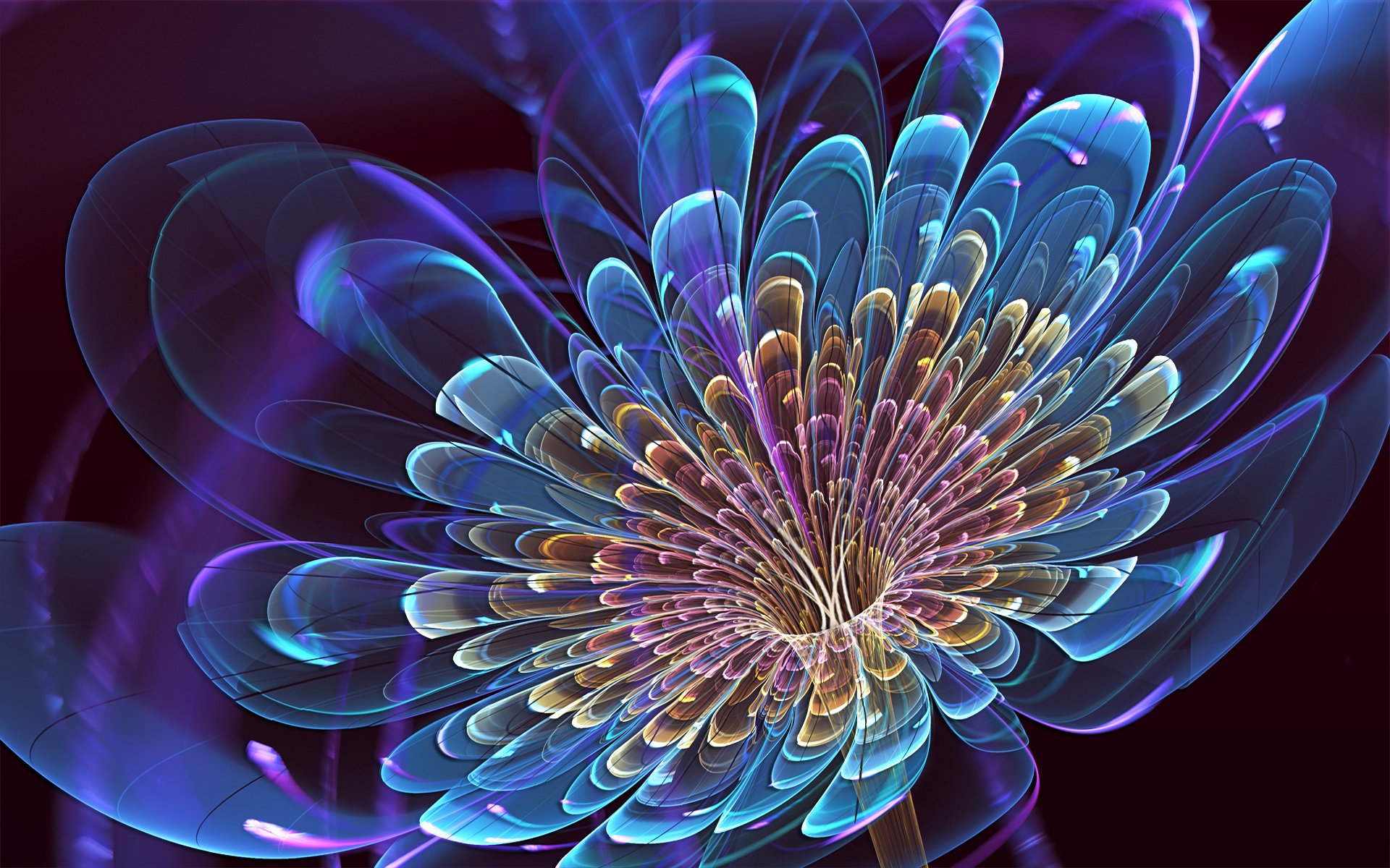 3D Blooming Flower | HD Wallpapers