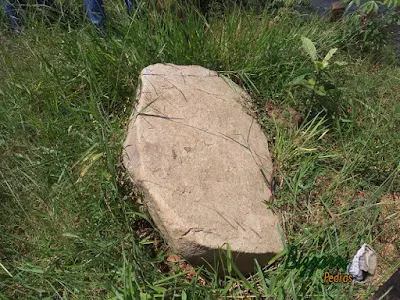 Pedra chapada, tipo pedra moledo, com tamanhos variados, para pisadeira de pedra no jardim.