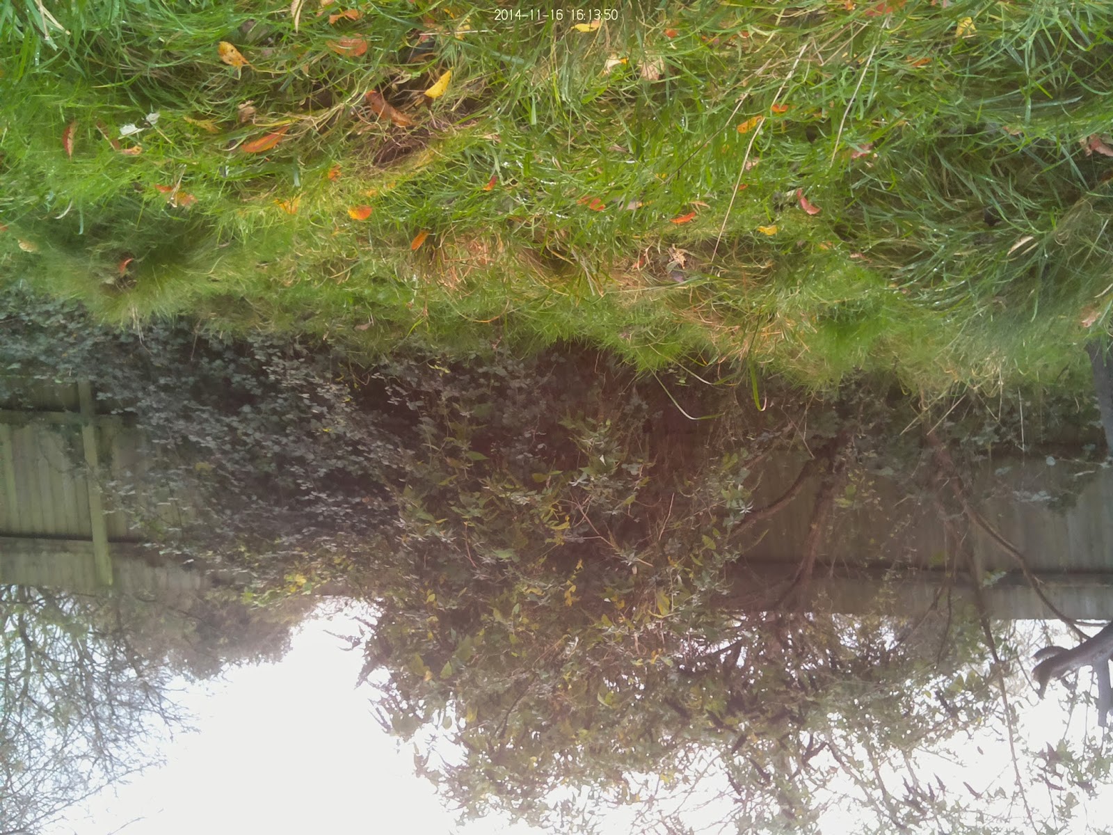 NestBoxTech Part 2 How to make your own Raspberry Pi Trail Camera