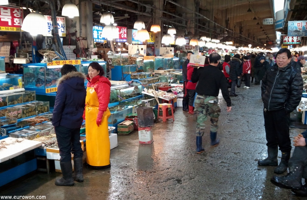 Vendedores en el mercado de Noryangjin de Seúl