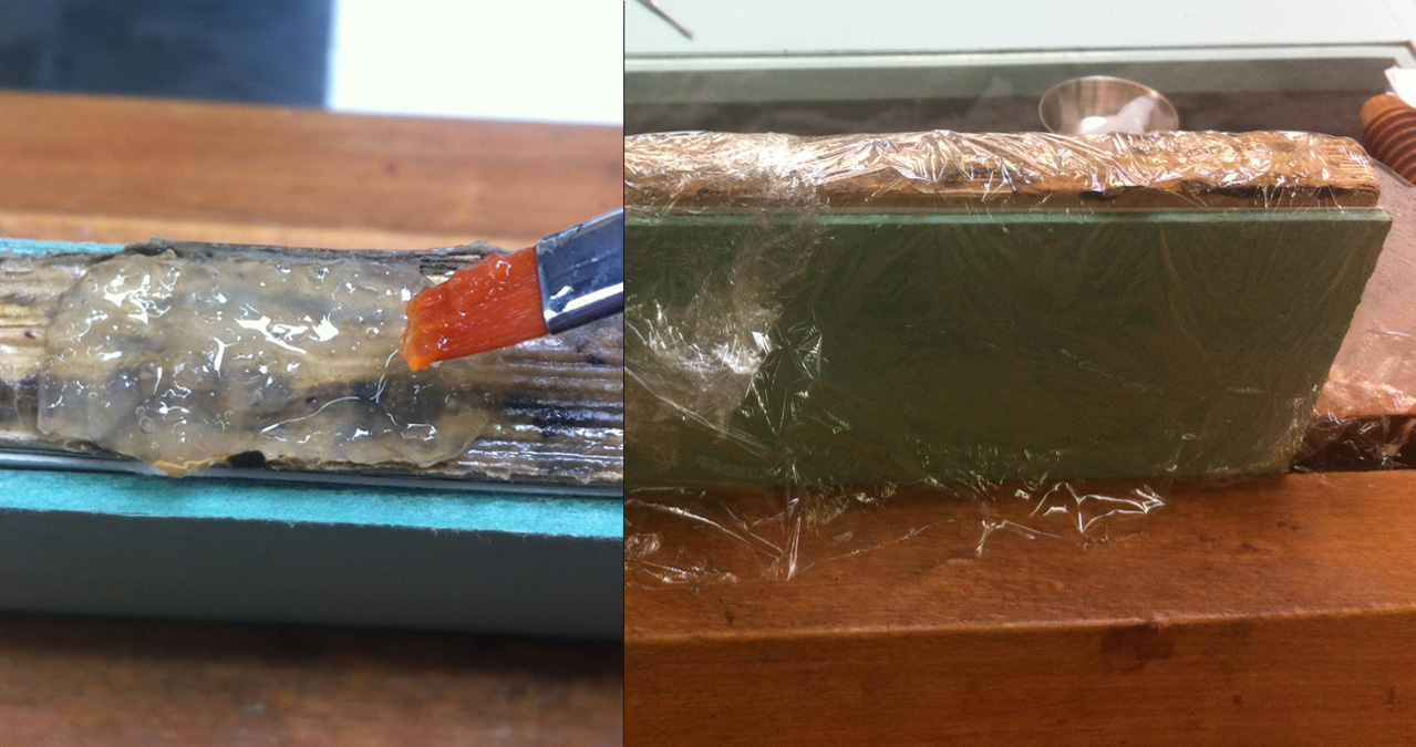 PZ CONSERVATION Using an Acetone/Agar Solvent Gel for Adhesive Removal