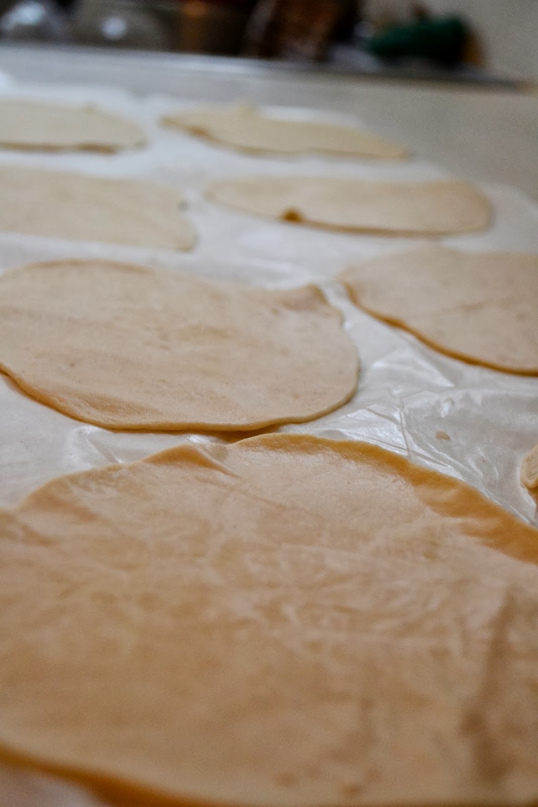 Simple Savory & Satisfying Homemade Flour Tortillas